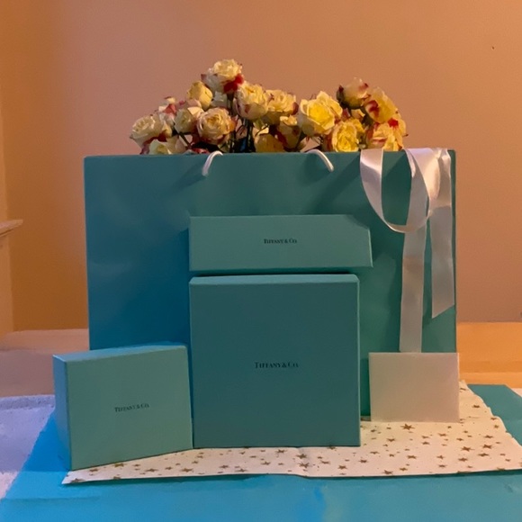 🎀 TIFFANY & CO. BAG & BOXES 🎀 - Picture 6 of 16